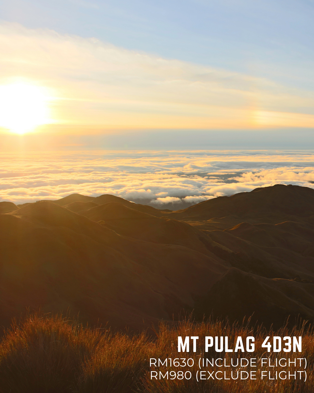 Mt Pulag